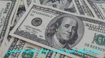 سعر الدولار اليوم الأربعاء مقابل الجنيه المصري في البنك المركزي يشهد استقرارًا نسبيًا